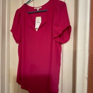 Daniel Rainn brand new polyester pink short sleeve with v-neck blouse